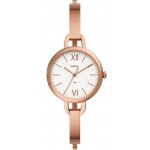 Acheter Montre pour Femme Fossil Annette ES4391 Quartz