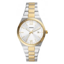 Image de la Fossil Scarlette - Montre Femme Acier - ES5259